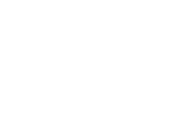 A.J. Wayne & Associates, Inc.